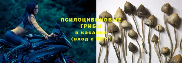 mdpv Алексин