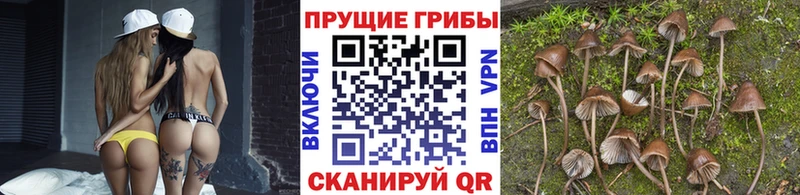 Псилоцибиновые грибы Magic Shrooms Яровое