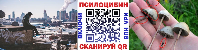 Галлюциногенные грибы Psilocybine cubensis  OMG   Яровое 